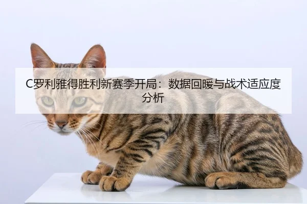 C罗利雅得胜利新赛季开局：数据回暖与战术适应度分析