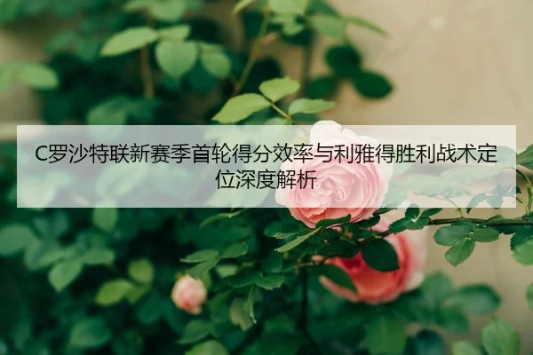 luo-sha-te-lian-xin-sai-ji-shou-lun-de-fen-xiao-lv-yu-li-ya-de-sheng-li-zhan-shu-ding-wei-shen-du-jie-xi-2-735.jpg