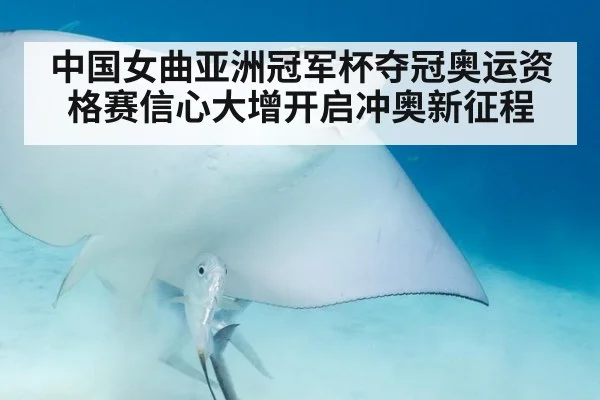 中国女曲亚洲冠军杯夺冠奥运资格赛信心大增开启冲奥新征程