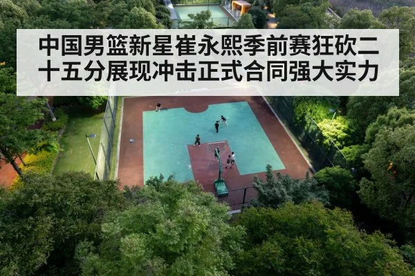 Chinese basketball player
